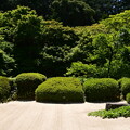緑の庭園