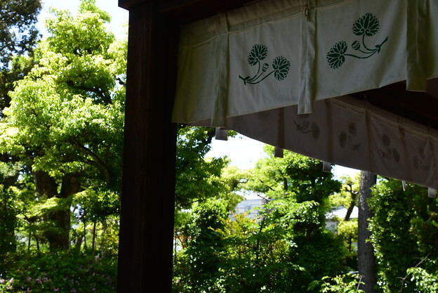 緑の賀茂波爾神社