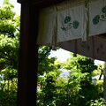 緑の賀茂波爾神社