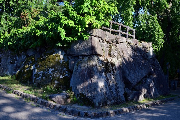 弘前城 亀の石