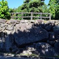 写真: 弘前城 亀の石