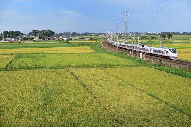 写真: 田園を走るE657系特急電車