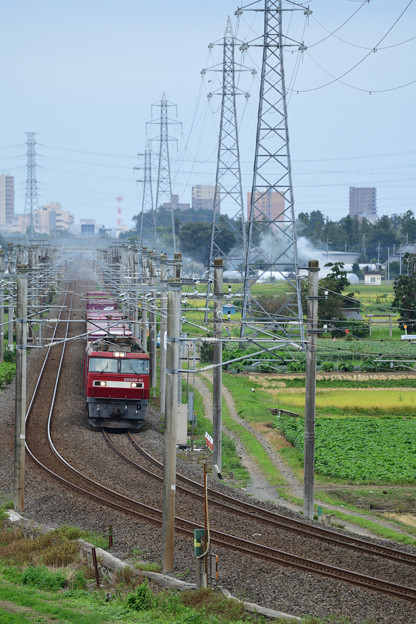 EH500電気機関車牽引貨物列車