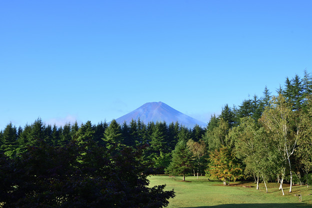芝生と富士山