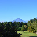写真: 芝生と富士山
