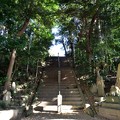 Photos: 拝殿へと続く階段