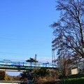 写真: 野川を渡る橋