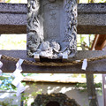 写真: 江島神社（仲町氷川神社）