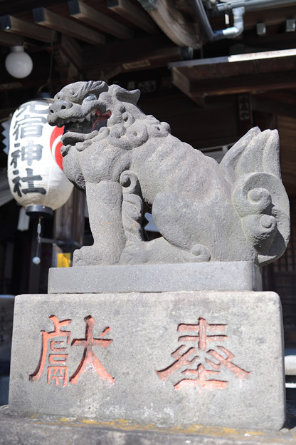 本宿神社（狛犬）