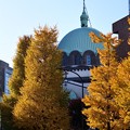 写真: ニコライ堂と銀杏の木