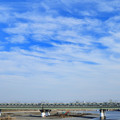 写真: 多摩川橋梁を渡る小田急電鉄8000形電車