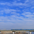 写真: 多摩川橋梁を渡る小田急ロマンスカー 60000形MSE