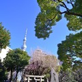 牛嶋神社とスカイツリー