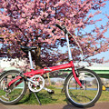 Photos: 自転車と桜