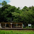 森の中の駅
