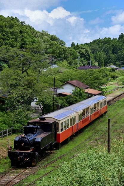 Photos: 里山トロッコ列車