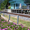 花咲く駅