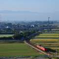 写真: 城端線ローカル列車