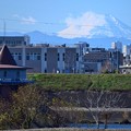 Photos: 金町浄水場の給水塔と富士山