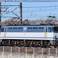 写真: EF65型電機牽引貨物列車