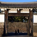 Photos: 桜田門（高麗門）