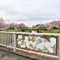 佐奈川に架かる荒古橋の桜レリーフ