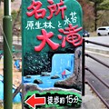 写真: 原生林と水苔名所大滝