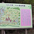 写真: つどいの里八ヶ岳自然園散策案内図