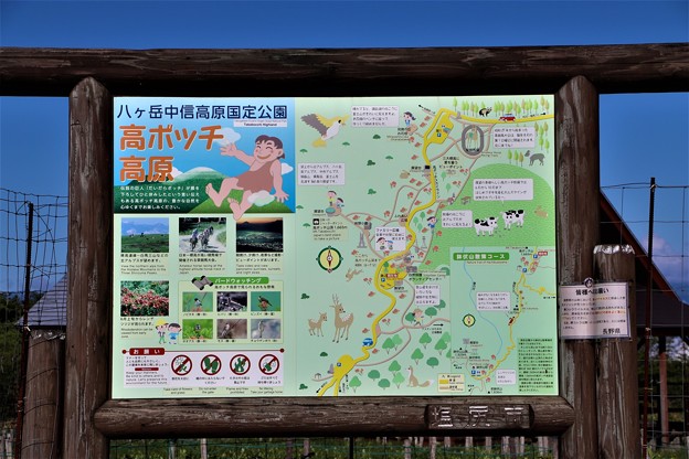 写真: 八ヶ岳中信国定公園・高ボッチ高原案内図