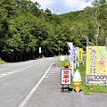 写真: 和田峠へ