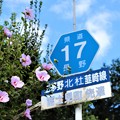 長野県道１７号線富士見先達地区