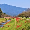 写真: 佐奈川堤と本宮山