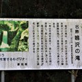 名勝・鳴沢の滝説明板