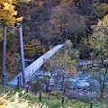 写真: 高瀬川に架かる吊り橋