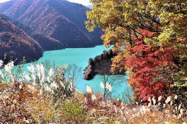 写真: 龍神湖と伝説の犀龍岩