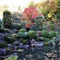 写真: 仏法寺昭和庭園