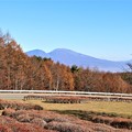 写真: 浅間山を望む