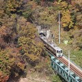 写真: トンネルへ飯田線列車