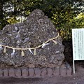 日本一大きいさざれ石