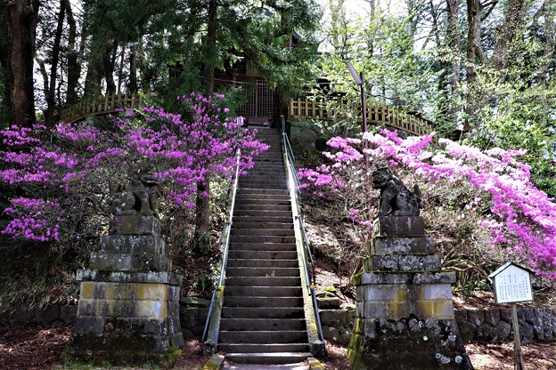 蓼宮神社参道階段