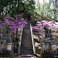 蓼宮神社参道階段