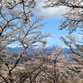 桜の隙間から八ヶ岳