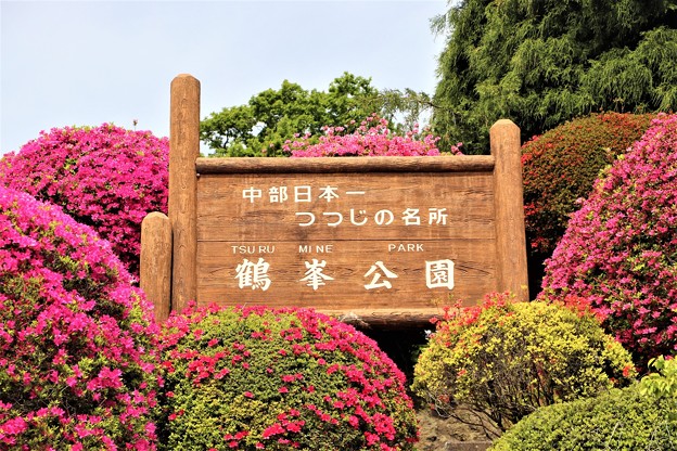 中部日本一のつつじの名所「鶴峯公園」