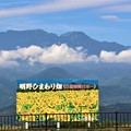 日照時間日本一「明野ひまわり畑」