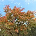 写真: 信州に秋の気配が。