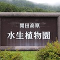 写真: 開田高原水生植物園