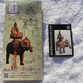写真: 諏訪神仏一斉公開パンフレットと記念カード