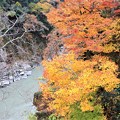 写真: 紅葉の天竜峡