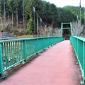 写真: 香恋吊り橋