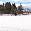 写真: 全面凍結の蓼科湖の湖面